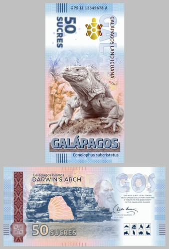 Galapagos sucres - galapagos, 50